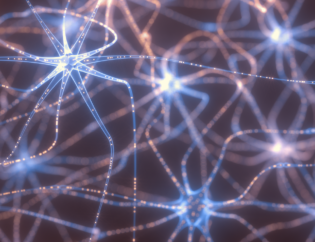 neural networks en deep learning